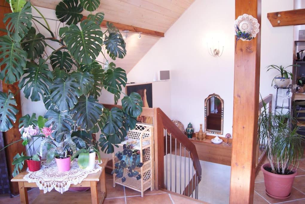 B&B Le Sourire Du Lac ซิวริเย ภายนอก รูปภาพ