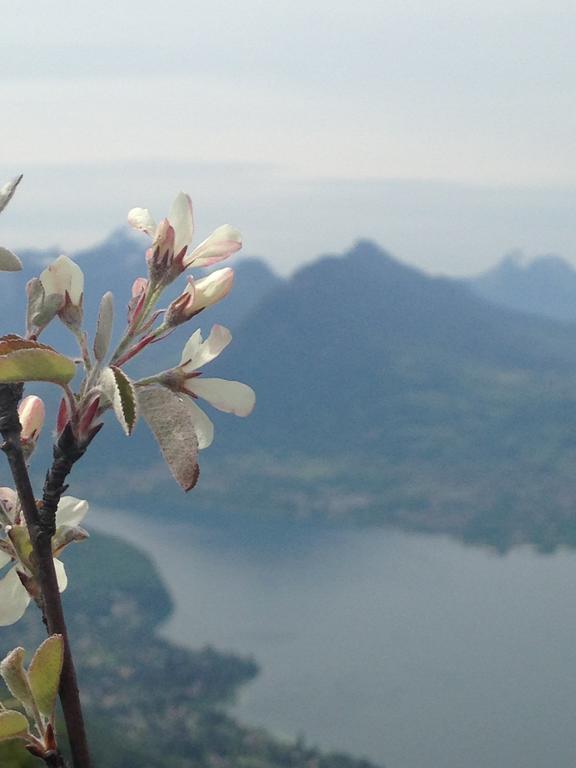 B&B Le Sourire Du Lac ซิวริเย ภายนอก รูปภาพ